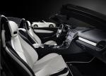 Mercedes-Benz SLK-Class 2LOOK edition 2009 года